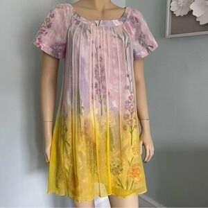 Anthropologie HD in Paris floral swing‎ chiffon minidress size 6p